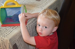 Toy rat in the bug catcher.