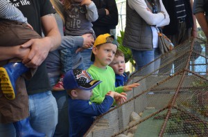 Boys listening to Graham